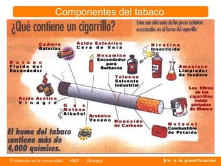 Problemas en la comunidad NM3 Biología
Componentes del tabaco
 