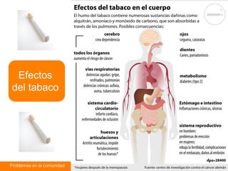 Problemas en la comunidad NM3 Biología
Efectos
del tabaco
 