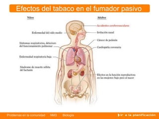 Problemas en la comunidad NM3 Biología
Efectos del tabaco en el fumador pasivo
 