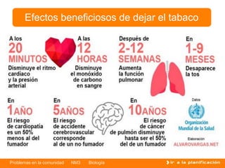 Problemas en la comunidad NM3 Biología
Efectos beneficiosos de dejar el tabaco
 