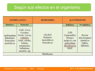 Problemas en la comunidad NM3 Biología
Según sus efectos en el organismo
 