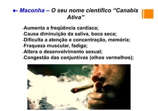 - Maconha – O seu nome científico “Canabis
Ativa”
-Aumenta a frequência cardíaca;
-Causa diminuição da saliva, boca seca;
-Dificulta a atenção e concentração, memória;
-Fraqueza muscular, fadiga;
-Altera o desenvolvimento sexual;
-Congestão das conjuntivas (olhos vermelhos);
 