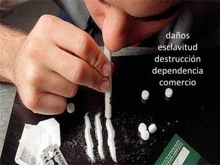 daños esclavitud destrucción dependencia comercio 