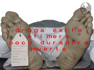 droga éxito efímero poco duradero muerte 