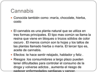 Cannabis
 Conocida también como :maría, chocolate, hierba,

costo
 El cannabis es una planta natural que se utiliza en

tres formas principales. El tipo mas común se llama la
resina que viene en bloques o trozos sólidos de color
oscuro . El menos común son la hojas y los tallos de
las plantas llamado hierba o maría. El tercer tipo es,
aceite de cannabis.
 Efectos: te hace sentir relajado, hablador y feliz .
 Riesgos :los consumidores a largo plazo pueden
tener dificultades para controlar el consumo de la
droga y volverse adictos , aumenta el riesgo de
padecer enfermedades cardiacas y cancer.

 