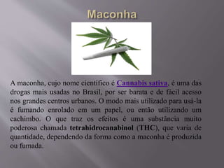 A maconha, cujo nome científico é Cannabis sativa, é uma das
drogas mais usadas no Brasil, por ser barata e de fácil acesso
nos grandes centros urbanos. O modo mais utilizado para usá-la
é fumando enrolado em um papel, ou então utilizando um
cachimbo. O que traz os efeitos é uma substância muito
poderosa chamada tetrahidrocanabinol (THC), que varia de
quantidade, dependendo da forma como a maconha é produzida
ou fumada.
 