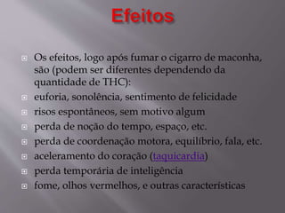 Os efeitos, logo após fumar o cigarro de maconha,
são (podem ser diferentes dependendo da
quantidade de THC):
 euforia, sonolência, sentimento de felicidade
 risos espontâneos, sem motivo algum
 perda de noção do tempo, espaço, etc.
 perda de coordenação motora, equilíbrio, fala, etc.
 aceleramento do coração (taquicardia)
 perda temporária de inteligência
 fome, olhos vermelhos, e outras características
 