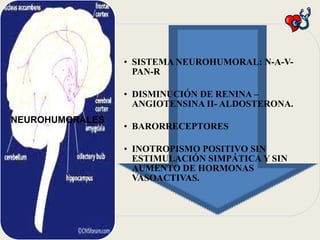 • SISTEMA NEUROHUMORAL: N-A-VPAN-R
• DISMINUCIÓN DE RENINA –
ANGIOTENSINA II- ALDOSTERONA.

NEUROHUMORALES

• BARORRECEPTORES
• INOTROPISMO POSITIVO SIN
ESTIMULACIÓN SIMPÁTICA Y SIN
AUMENTO DE HORMONAS
VASOACTIVAS.

 