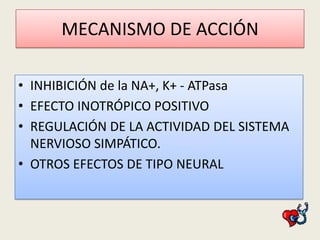 MECANISMO DE ACCIÓN
• INHIBICIÓN de la NA+, K+ - ATPasa
• EFECTO INOTRÓPICO POSITIVO
• REGULACIÓN DE LA ACTIVIDAD DEL SISTEMA
NERVIOSO SIMPÁTICO.
• OTROS EFECTOS DE TIPO NEURAL

 