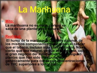  Mito:
La marihuana no es mala, porque se
saca de una planta y eso natural.
 Realidad:
El humo de la marihuana contiene algunos de
los mismos componentes que causan el cáncer
que el tabaco, incluso más concentrados. No es
cierto que sea natural, ya que actualmente, con
el gran negocio del autocultivo, se consiguen
plantas que han sido manipuladas
genéticamente para conseguir concentraciones
de THC superiores a lo normal.
La Marihuana
 