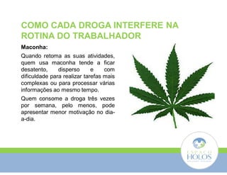 COMO CADA DROGA INTERFERE NA 
ROTINA DO TRABALHADOR 
Maconha: 
Quando retoma as suas atividades, 
quem usa maconha tende a ficar 
desatento, disperso e com 
dificuldade para realizar tarefas mais 
complexas ou para processar várias 
informações ao mesmo tempo. 
Quem consome a droga três vezes 
por semana, pelo menos, pode 
apresentar menor motivação no dia-a- 
dia. 
 