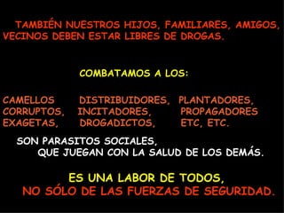 TAMBIÉN NUESTROS HIJOS, FAMILIARES, AMIGOS,
VECINOS DEBEN ESTAR LIBRES DE DROGAS.


             COMBATAMOS A LOS:

CAMELLOS     DISTRIBUIDORES, PLANTADORES,
CORRUPTOS,   INCITADORES,    PROPAGADORES
EXAGETAS,    DROGADICTOS,    ETC, ETC.
  SON PARASITOS SOCIALES,
     QUE JUEGAN CON LA SALUD DE LOS DEMÁS.

         ES UNA LABOR DE TODOS,
   NO SÓLO DE LAS FUERZAS DE SEGURIDAD.
 