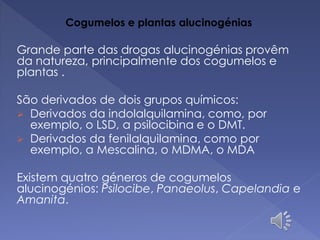 Cogumelos e plantas alucinogénias
Grande parte das drogas alucinogénias provêm
da natureza, principalmente dos cogumelos e
plantas .
São derivados de dois grupos químicos:
 Derivados da indolalquilamina, como, por
exemplo, o LSD, a psilocibina e o DMT.
 Derivados da fenilalquilamina, como por
exemplo, a Mescalina, o MDMA, o MDA
Existem quatro géneros de cogumelos
alucinogénios: Psilocibe, Panaeolus, Capelandia e
Amanita.
 