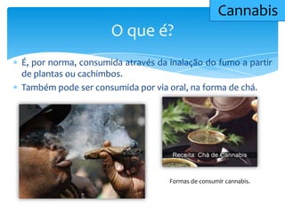 É, por norma, consumida através da inalação do fumo a partir
de plantas ou cachimbos.
Também pode ser consumida por via oral, na forma de chá.
O que é?
Cannabis
Formas de consumir cannabis.
 