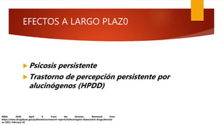 EFECTOS A LARGO PLAZ0
 Psicosis persistente
 Trastorno de percepción persistente por
alucinógenos (HPDD)
NIDA. 2020, April 9. From the Director. Retrieved from
https://www.drugabuse.gov/publications/research-reports/hallucinogens-dissociative-drugs/director
on 2021, February 10
 