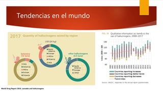 Tendencias en el mundo
World Drug Report 2019, cannabis and hallucinogens
 