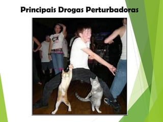 Principais Drogas Perturbadoras
 