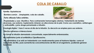 COLA DE CABALLO
Familia Equisetacea
Nombre común . Limpiaplata, cola de caballo.
Parte utilizada Tallos estériles.
Propiedades y usos Diurético. Para contrarrestar hemorragias uterinas. Tratamiento de heridas
ulcerosas, uso externo. Suplemento mineral, en afecciones de la piel. Como uso cosmético, antiarrugas
y anticelulitis, como droga pulverizada o infusión.
Posología Beber 1 taza 3 veces al día de la infusión. Su decocto se emplea para uso externo.
Efectos adversos e interacciones
No tomar la infusión demasiado concentrada, especialmente embarazadas.
No administrar junto al antibiótico Ciprofloxacino.
No administrar si se está en tratamiento con medicamentos para el trastorno bipolar, como el
carbonato de litio, pues aumenta las concentraciones de litio en el organismo, pudiendo generar
toxicidad.
 