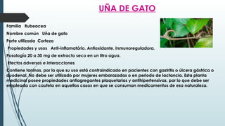 UÑA DE GATO
Familia Rubeacea
Nombre común Uña de gato
Parte utilizada Corteza
Propiedades y usos Anti-inflamatório. Antioxidante. Inmunoreguladora.
Posología 20 a 30 mg de extracto seco en un litro agua.
Efectos adversos e interacciones
Contiene taninos, por lo que su uso está contraindicado en pacientes con gastritis o úlcera gástrica o
duodenal. No debe ser utilizado por mujeres embarazadas o en periodo de lactancia. Esta planta
medicinal posee propiedades antiagregantes plaquetarias y antihipertensivas, por lo que debe ser
empleada con cautela en aquellos casos en que se consuman medicamentos de esa naturaleza.
 
