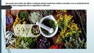 Recuerda que antes de utilizar cualquier planta medicinal, debes consultar con un profesional de
la salud para asegurarte de su seguridad y eficacia.
 