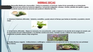 HIERBAS SECAS
1. Manzanilla (Matricaria chamomilla) - Calma la ansiedad y el insomnio. beber té de manzanilla es un tratamiento
tradicional para aliviar los trastornos digestivos, incluyendo indigestión, náuseas, vómitos, pérdida del apetito y gases.
Excelente opción para las personas que padecen diabetes tipo dos.
2. Valeriana (Valeriana officinalis) - Sedante y ansiolítico. puede reducir el tiempo que tardas en dormirte y ayudarte a dormir
mejor.
3. Salvia (Salvia officinalis) - Mejora la memoria y la concentración. yuda a mejorar la circulación de la sangre al corazón, por
lo que puede prevenir enfermedades y accidentes cerebrovasculares. También ayuda a dilatar los vasos sanguíneos
mejorando la presión arterial y flujo sanguíneo.
4. Tomillo (Thymus vulgaris) - Antibacteriano y antifúngico. colabora en la recuperación de los músculos tras una actividad
física intensa.
 