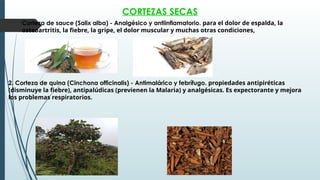 CORTEZAS SECAS
1. Corteza de sauce (Salix alba) - Analgésico y antiinflamatorio. para el dolor de espalda, la
osteoartritis, la fiebre, la gripe, el dolor muscular y muchas otras condiciones,
2. Corteza de quina (Cinchona officinalis) - Antimalárico y febrífugo. propiedades antipiréticas
(disminuye la fiebre), antipalúdicas (previenen la Malaria) y analgésicas. Es expectorante y mejora
los problemas respiratorios.
 