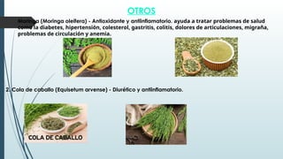 OTROS
1. Moringa (Moringa oleifera) - Antioxidante y antiinflamatorio. ayuda a tratar problemas de salud
como la diabetes, hipertensión, colesterol, gastritis, colitis, dolores de articulaciones, migraña,
problemas de circulación y anemia.
2. Cola de caballo (Equisetum arvense) - Diurético y antiinflamatorio.
 
