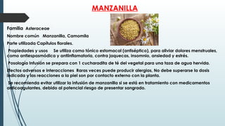 MANZANILLA
Familia Asteraceae
Nombre común Manzanilla, Camomila
Parte utilizada Capítulos florales.
Propiedades y usos Se utiliza como tónico estomacal (antiséptico), para aliviar dolores menstruales,
como antiespasmódica y antiinflamatoria, contra jaquecas, insomnio, ansiedad y estrés.
Posología Infusión se prepara con 1 cucharadita de té del vegetal para una taza de agua hervida.
Efectos adversos e interacciones Raras veces puede producir alergias, No debe superarse la dosis
indicada y las reacciones a la piel son por contacto externo con la planta.
Se recomienda evitar utilizar la infusión de manzanilla si se está en tratamiento con medicamentos
anticoagulantes, debido al potencial riesgo de presentar sangrado.
 