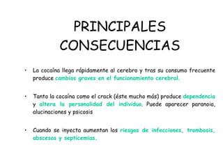 PRINCIPALES CONSECUENCIAS La cocaína llega rápidamente al cerebro y tras su consumo frecuente produce  cambios graves en el funcionamiento cerebral. Tanto la cocaína como el crack (éste mucho más) produce  dependencia  y  altera la personalidad del individuo . Puede aparecer paranoia, alucinaciones y psicosis Cuando se inyecta aumentan los  riesgos de infecciones, trombosis, abscesos y septicemias. 