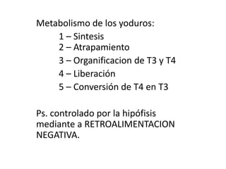 Metabolismo de los yoduros:	1 – Sintesis	2 – Atrapamiento	3 – Organificacionde T3 y T4	4 – Liberación	5 – Conversión de T4 en T3Ps. controlado por la hipófisis mediante a RETROALIMENTACION NEGATIVA.