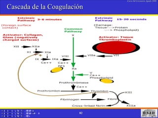 Cascada de la Coagulación 