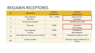 RESUMEN RECEPTORES
 