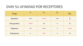 DVAY SU AFINIDAD POR RECEPTORES
 