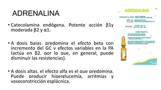 ADRENALINA
• Catecolamina endógena. Potente acción β1y
moderada β2 y α1.
• A dosis bajas, predomina el efecto beta con
incremento del GC y efectos variables en la PA
(actúa en β2, por lo que, en general, puede
disminuir las resistencias).
• A dosis altas, el efecto alfa es el que predomina.
Puede producir hiperglucemia, arritmias y
vasoconstricción esplácnica.
 