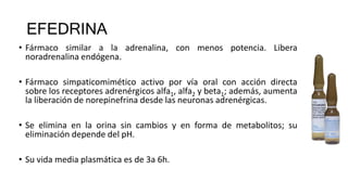 EFEDRINA
• Fármaco similar a la adrenalina, con menos potencia. Libera
noradrenalina endógena.
• Fármaco simpaticomimético activo por vía oral con acción directa
sobre los receptores adrenérgicos alfa1, alfa2 y beta1; además, aumenta
la liberación de norepinefrina desde las neuronas adrenérgicas.
• Se elimina en la orina sin cambios y en forma de metabolitos; su
eliminación depende del pH.
• Su vida media plasmática es de 3a 6h.
 