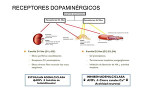 RECEPTORES DOPAMINÉRGICOS
 