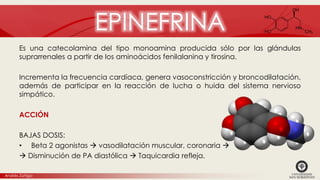 Drogas Vasoactivas | PPTX