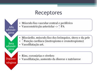 Receptores
 
