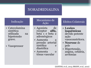 NORADRENALINA
(SANTOS, et al., 2013; BRODY, et al., 2010)
 