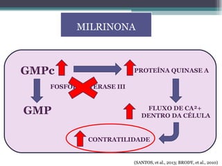 MILRINONA
GMPc
GMP
FOSFODIESTERASE III
PROTEÍNA QUINASE A
FLUXO DE CA²+
DENTRO DA CÉLULA
CONTRATILIDADE
(SANTOS, et al., 2013; BRODY, et al., 2010)
 