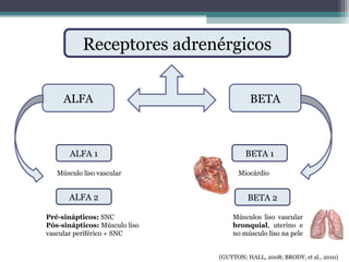 Receptores adrenérgicos
ALFA BETA
ALFA 1
ALFA 2 BETA 2
BETA 1
(GUYTON; HALL, 2008; BRODY, et al., 2010)
Músculo liso vascular
Pré-sinápticos: SNC
Pós-sinápticos: Músculo liso
vascular periférico + SNC
Miocárdio
Músculos liso vascular
bronquial, uterino e
no músculo liso na pele
 