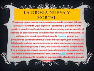 LA DROGA NUEVA Y
MORTAL
El nombre con el que es comúnmente conocida proviene del ruso
крокодил ("krokodil", que significa "cocodrilo"), probablemente
debido a una derivación del nombre clorocodida y quizás también al
aspecto de piel escamosa que presentan sus usuarios habituales. Se
utiliza como una droga alternativa a la heroína, ya que sus
precursores son relativamente fáciles de conseguir, por ejemplo las

tabletas de codeína pueden comprarse sin prescripción; su síntesis
resulta sencilla y gracias a esto, una dosis de krokodil cuesta entre
tres y cinco veces menos que una dosis de heroína. La desomorfina
fue foco de atención durante el año 2010 en Rusia debido a que se
registró un incremento notable en la producción clandestina de este

compuesto

 