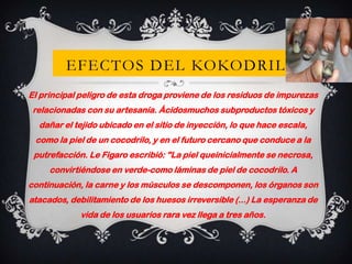 EFECTOS DEL KOKODRIL
El principal peligro de esta droga proviene de los residuos de impurezas
relacionadas con su artesanía. Ácidosmuchos subproductos tóxicos y
dañar el tejido ubicado en el sitio de inyección, lo que hace escala,
como la piel de un cocodrilo, y en el futuro cercano que conduce a la
putrefacción. Le Figaro escribió: "La piel queinicialmente se necrosa,
convirtiéndose en verde-como láminas de piel de cocodrilo. A
continuación, la carne y los músculos se descomponen, los órganos son
atacados, debilitamiento de los huesos irreversible (...) La esperanza de
vida de los usuarios rara vez llega a tres años.

 