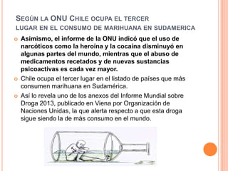 SEGÚN LA ONU CHILE OCUPA EL TERCER
LUGAR EN EL CONSUMO DE MARIHUANA EN SUDAMERICA
 Asimismo, el informe de la ONU indicó que el uso de
narcóticos como la heroína y la cocaína disminuyó en
algunas partes del mundo, mientras que el abuso de
medicamentos recetados y de nuevas sustancias
psicoactivas es cada vez mayor.
 Chile ocupa el tercer lugar en el listado de países que más
consumen marihuana en Sudamérica.
 Así lo revela uno de los anexos del Informe Mundial sobre
Droga 2013, publicado en Viena por Organización de
Naciones Unidas, la que alerta respecto a que esta droga
sigue siendo la de más consumo en el mundo.
 