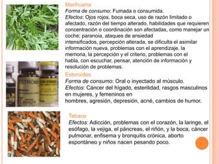 Marihuana
Forma de consumo: Fumada o consumida.
Efectos: Ojos rojos, boca seca, uso de razón limitado o
afectado, razón del tiempo alterado, habilidades que requieren
concentración o coordinación son afectadas, como manejar un
coche; paranoia, ataques de ansiedad
intensificados, percepción alterada, se dificulta el asimilar
información nueva, problemas con el aprendizaje, la
memoria, la percepción y el criterio, problemas con el
habla, con escuchar, pensar, atención de información y
resolución de problemas.
Esteroides
Forma de consumo: Oral o inyectado al músculo.
Efectos: Cáncer del hígado, esterilidad, rasgos masculinos
en mujeres, y femeninos en
hombres, agresión, depresión, acné, cambios de humor.
Tabaco
Efectos: Adicción, problemas con el corazón, la laringe, el
esófago, la vejiga, el páncreas, el riñón, y la boca, cáncer
pulmonar, enfisema y bronquitis crónica, aborto
espontáneo y niños nacen pesando poco.
 