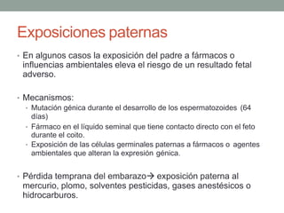 Exposiciones paternas
• En algunos casos la exposición del padre a fármacos o
influencias ambientales eleva el riesgo de un resultado fetal
adverso.
• Mecanismos:
• Mutación génica durante el desarrollo de los espermatozoides (64
días)
• Fármaco en el líquido seminal que tiene contacto directo con el feto
durante el coito.
• Exposición de las células germinales paternas a fármacos o agentes
ambientales que alteran la expresión génica.
• Pérdida temprana del embarazo exposición paterna al
mercurio, plomo, solventes pesticidas, gases anestésicos o
hidrocarburos.
 