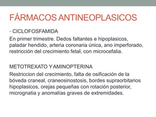FÁRMACOS ANTINEOPLASICOS
• CICLOFOSFAMIDA
En primer trimestre. Dedos faltantes e hipoplasicos,
paladar hendido, arteria coronaria única, ano imperforado,
restricción del crecimiento fetal, con microcefalia.
METOTREXATO YAMINOPTERINA
Restriccion del crecimiento, falta de osificación de la
bóveda craneal, craneosinostosis, bordes supraorbitarios
hipoplasicos, orejas pequeñas con rotación posterior,
micrognatia y anomalías graves de extremidades.
 