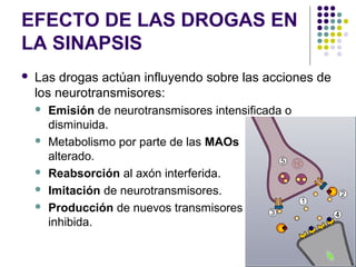 EFECTO DE LAS DROGAS EN
LA SINAPSIS
   Las drogas actúan influyendo sobre las acciones de
    los neurotransmisores:
    ...