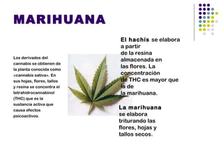 THC
La marihuana es una
droga depresora del
Sistema Nervioso Central,
tiene decenas de
elementos psicoactivos, el
más pote...