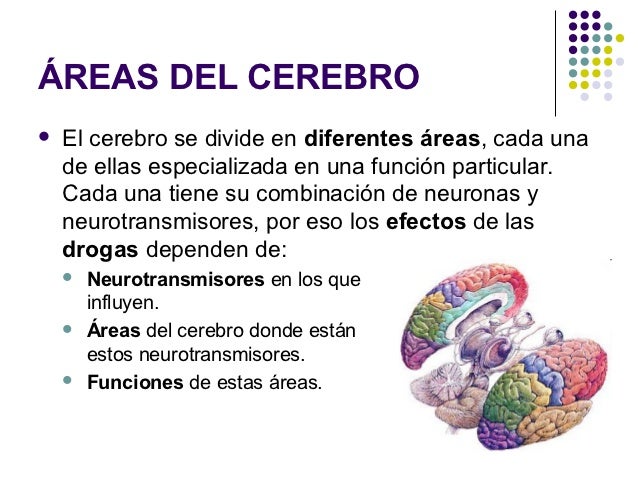 El centro del tratamiento del alcoholismo sobre de jardín